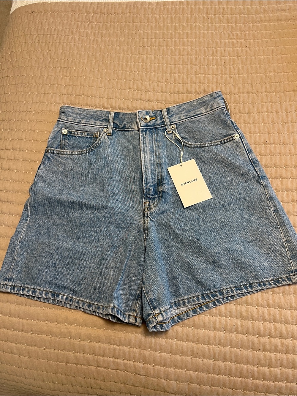 Everlane Light Blue High-Rise Jean Shorts